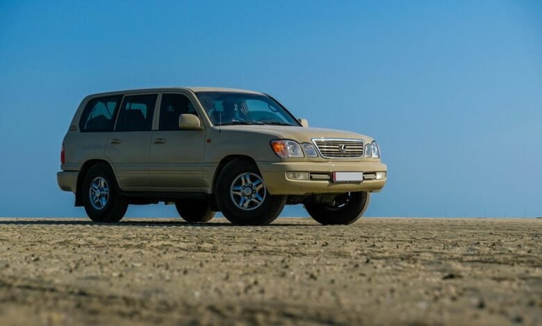 digital model for stability