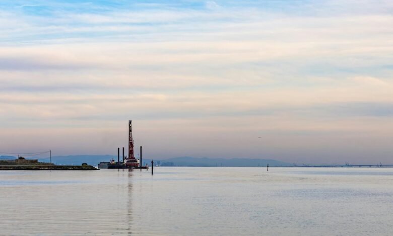 smart technology online expansion